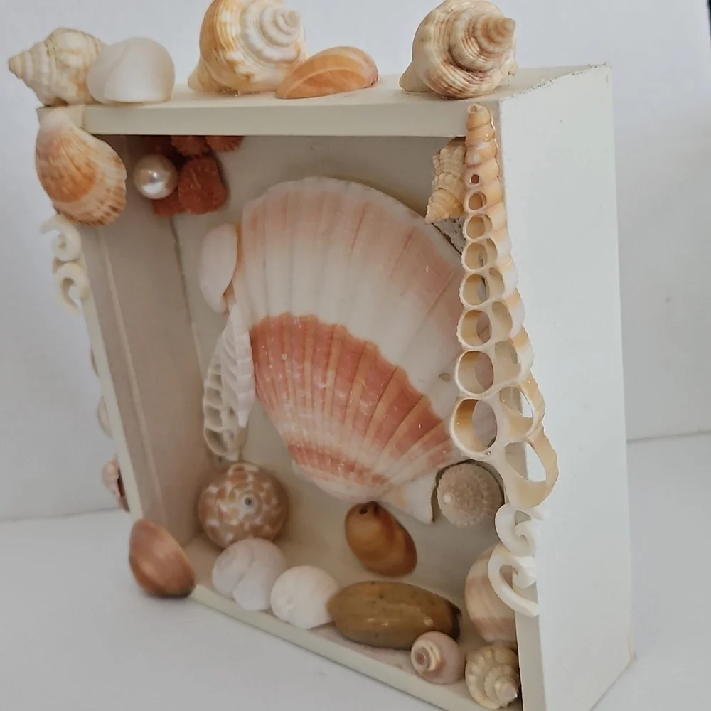 N/A natural shell